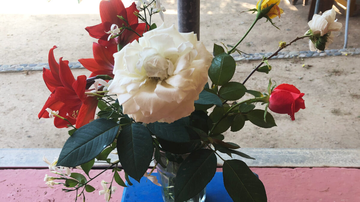 Eine Blumenvase, Retreat in Lesbos 2021