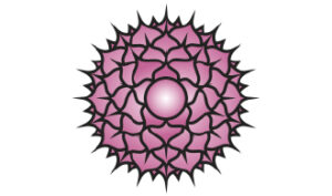 Zeichnung des Sahasara Chakra