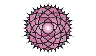Zeichnung des Sahasara Chakra