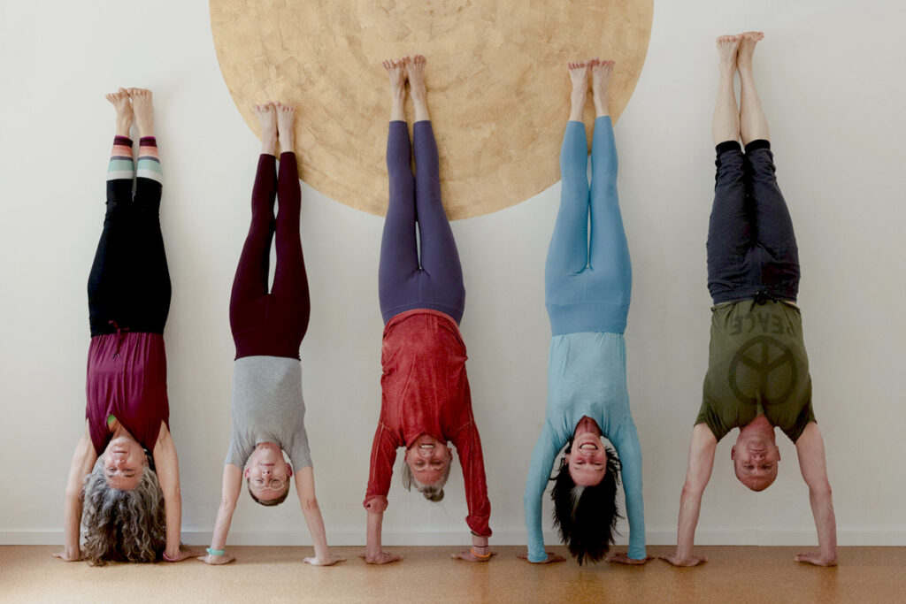 5 Lehrerinnen und Lehrer des Yogashala machen gleichzeitig Handstand