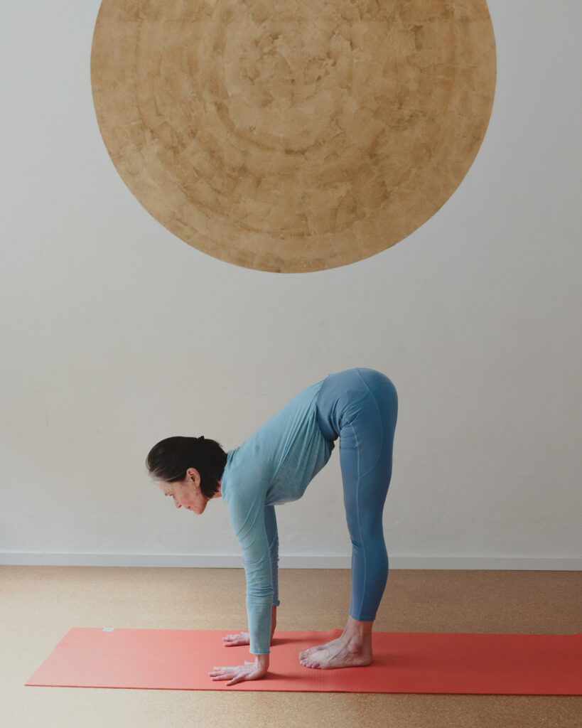 Petra Kirchmann übt eine Vorbeuge im Yogashala